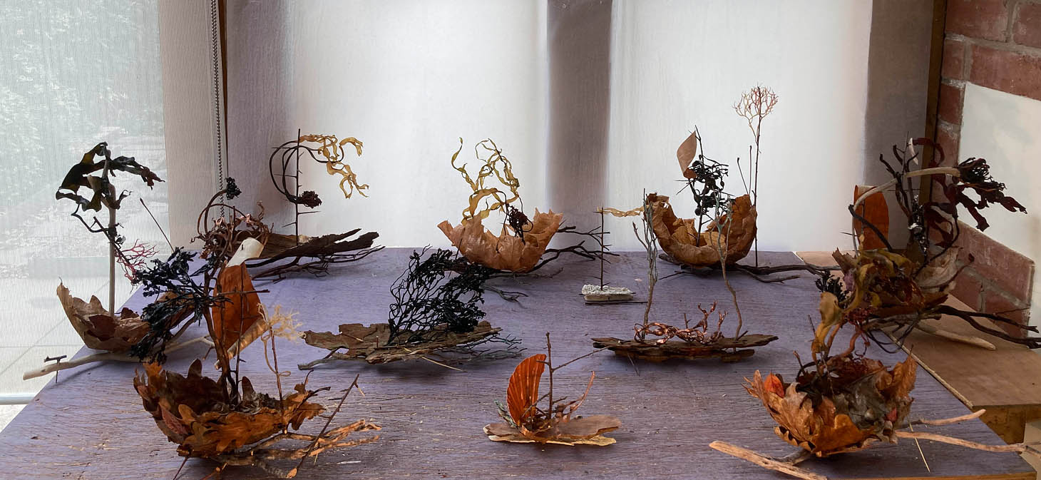 Eleven Leaf and Bark Vessels